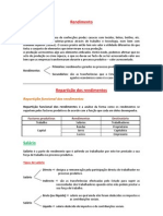 RESUMO - Repartição dos Rendimentos e Poupança e Investimento.docx