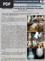 PODODERMATITE INFECCIOSA EM EQUINO ASSOCIADA A OSTEÍTE DE TERCEIRA FALANGE