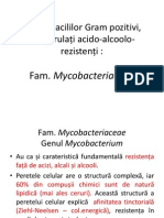 mycobacteriaceae