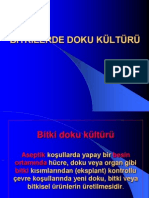 1289 Bitkidokukulturu1