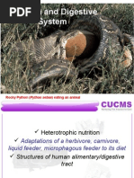 Download Chapter 8 - Digestive System by fit3akmal SN13410483 doc pdf