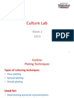 Culture Lab n (1)