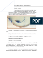 Tecnicas de Intubacion Endotraqueal