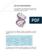 Genetica Microbiana