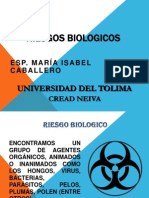 Riesgos Biologicos (Mediciones Ambientales) K.D.