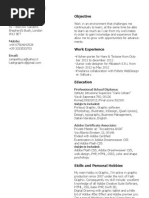 Luca Campelli Curriculum Vitae