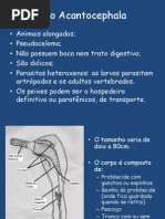 Nema, Acantho, Proto