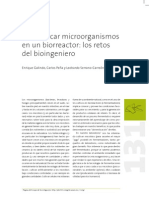 Domesticar Microorganismos en Un Biorreactor: Los Retos Del Bioingeniero