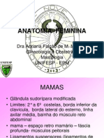 Anatomia feminina