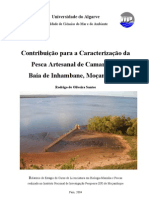 Santos, R. 2004 - Caracterização Da Pesca Artesanal de Camarão Na Baía de I'bane