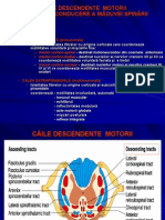 Caile Descendente Motorii