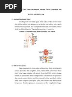 Download MekanismeKerjaGinjalBerdasarkanTahapanFiltrasibydidirasSN13417100 doc pdf