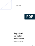7456852000 Rugaciuni Cu Puteri Vindecatoare Vasile Andru