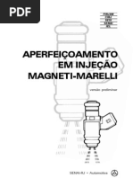 Injeção eletrônica Magnetti Mareli