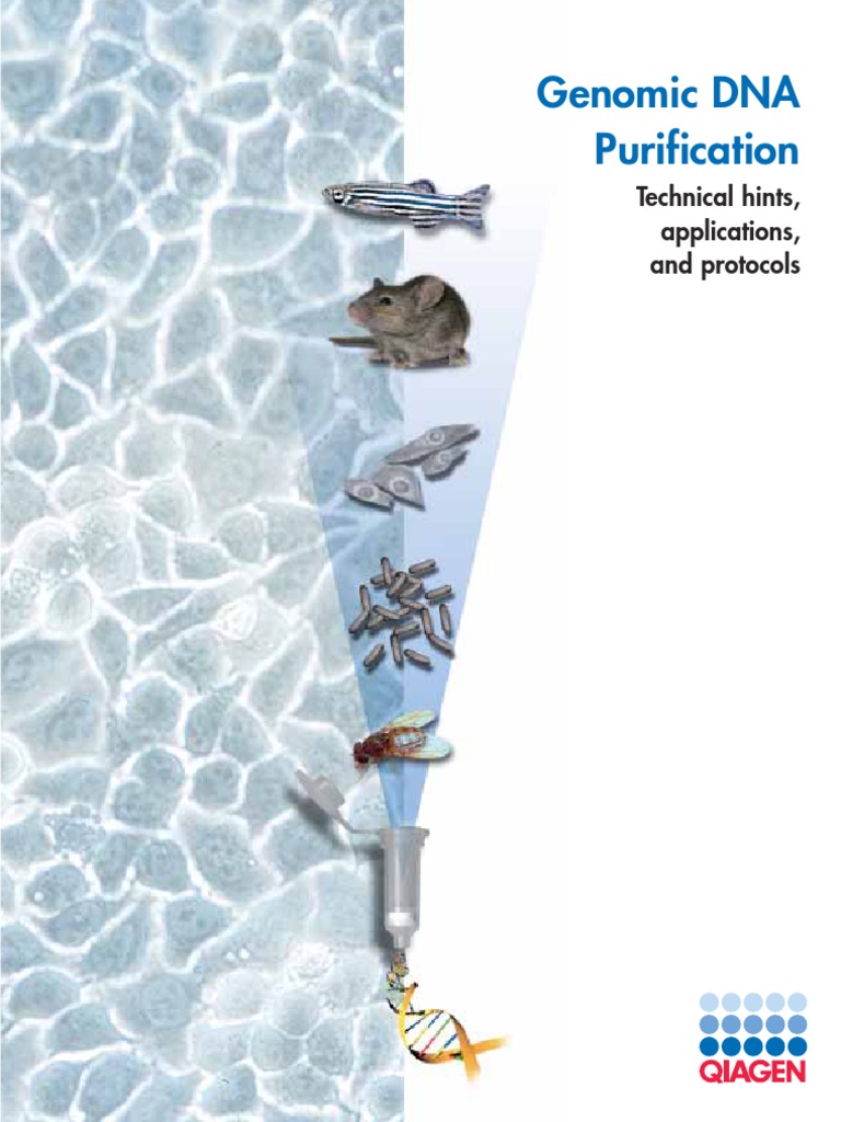 Genomic DNA Purification Technical Hints, Applications, and Protocols