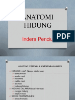 Anatomi Hidung 1