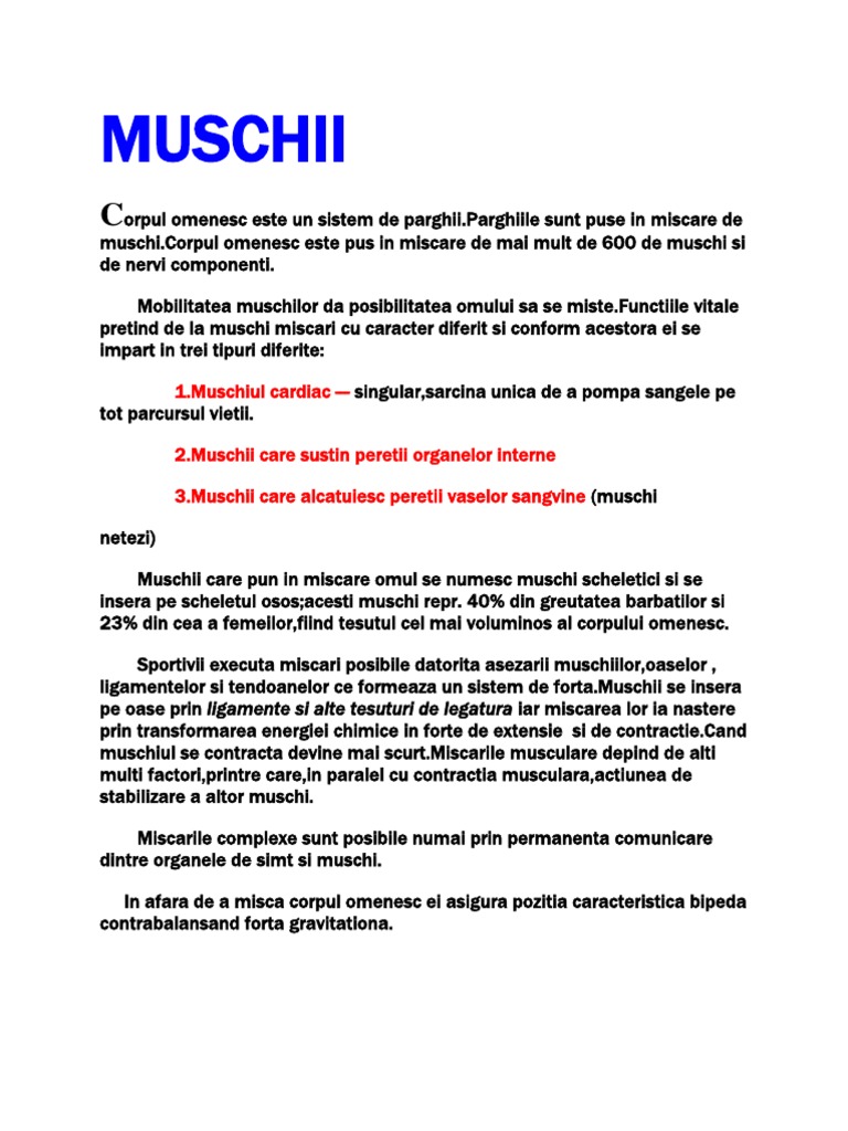 Muschi I | PDF