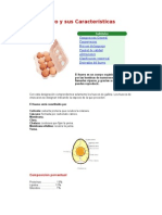El Huevo y Sus Características