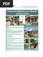 La Huerta Organica en La Azotea