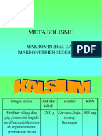 Metabolisme Makronutrien