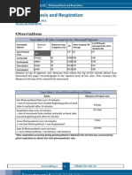 Download Photosynthesis and Respirat1 by arlyn0916 SN134212895 doc pdf