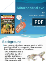 Mitochondrial Eve