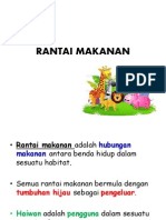 Rantai Makanan Pdf