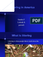 Littering in America