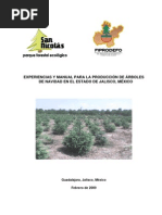 Download Experiencias y Manual Para La Produccion de Arboles de Navidad Jalisco by geogato223404 SN13422453 doc pdf