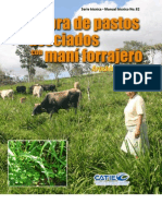 pasturas asociadas