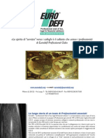 Brochure Eurodefi PDF