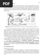 Zoologia C