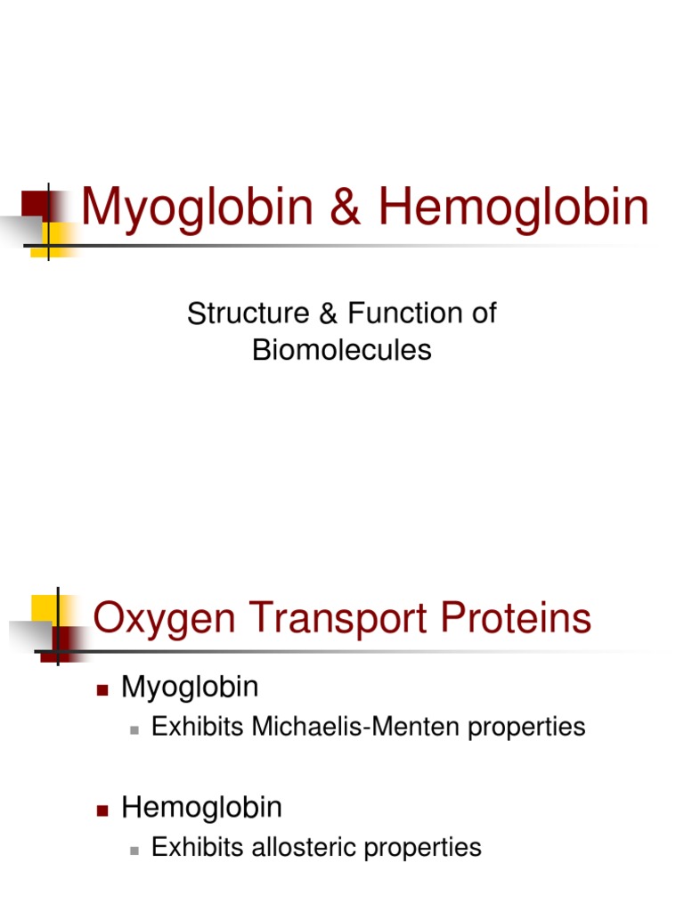 Myoglobin & Hemoglobin: Structure & Function of Biomolecules