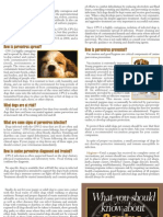 Parvo Brochure