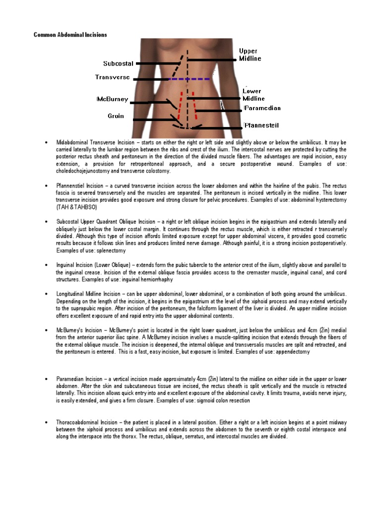Overview of Common Abdominal Incisions | PDF | Abdomen | Human Anatomy