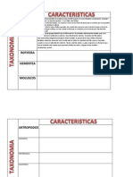 Aa Taxonomia Cuadro