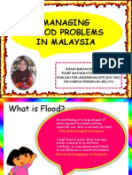 Managing Flood Problems