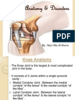 7 - Knee Joint - D3