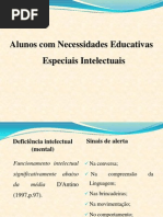 Necessidades Educativas Especiais Intelectuais