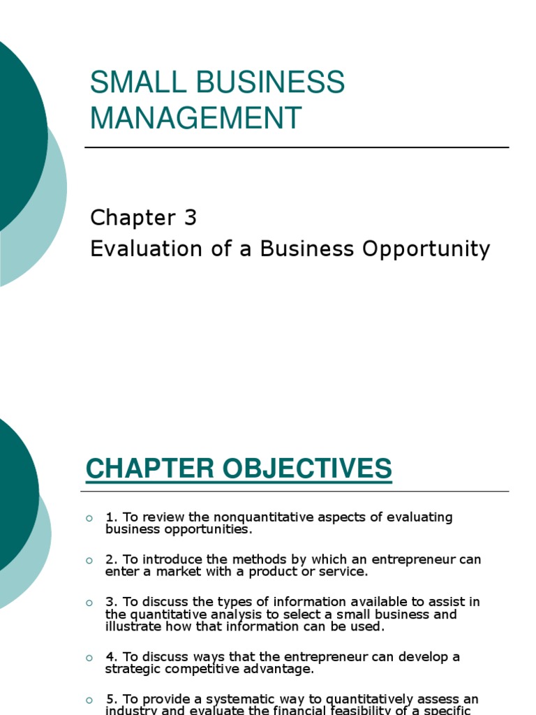Evaluating Small Business Opportunities | PDF