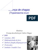 Aula 10.doença de Chagas