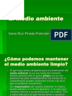 El Medio Ambiente