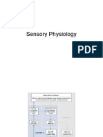 Sensory Phys and Somatic Reflexes