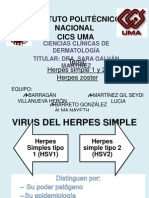 Herpes Simple, Varicela, Zoster Equipo 4