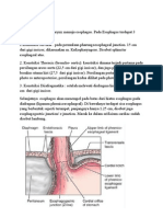 GI TRACT Gabungan