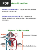 Aula Sistema Circulatorio