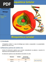 (2) aula de bioquímica celulardna