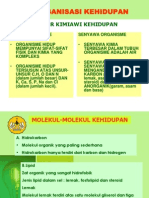 Organisasi Kehidupan