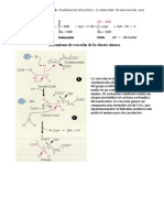 Ciclo de Krebs PDF