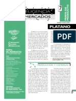 perfilplatano7 (1)